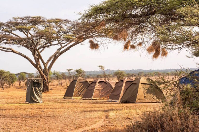 Budget Camping Safari Tanzania