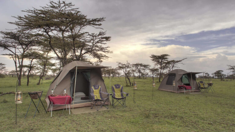 Budget Camping Safari Tanzania