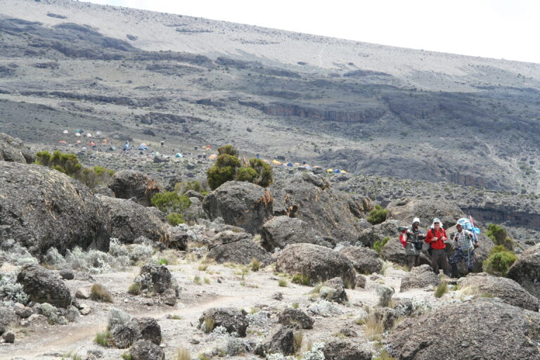 Rongai Route