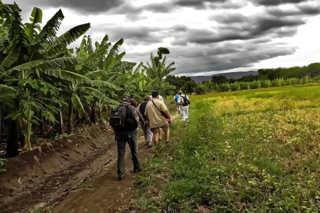 Mto wa Mbu Cultural & Farm Walk