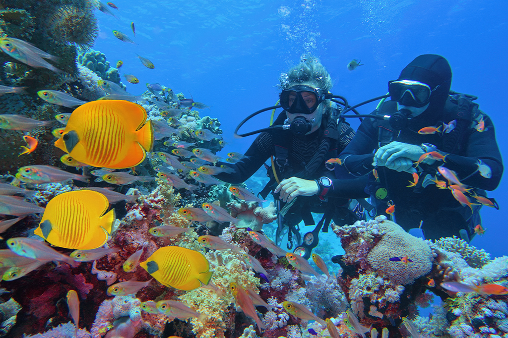 Misali Island Snorkelling Tour