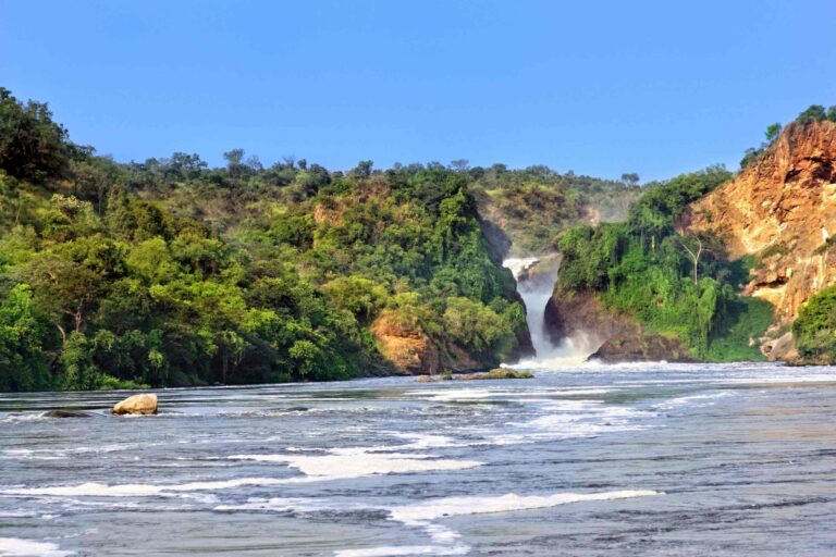 Complete Uganda Safari: Mburo to Murchison Falls