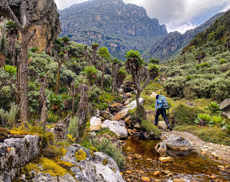 Rwenzori Mountains Trek