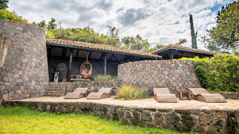 Serengeti & Bwindi Gorilla Safari