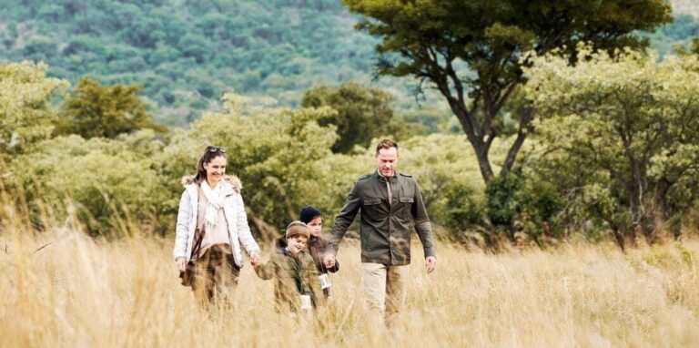 Family Northern Circuit Safari