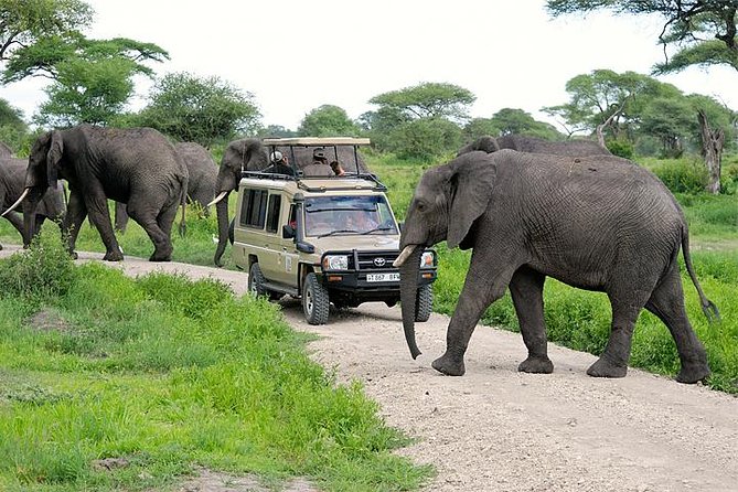 Twelve Things to Know Before Planning Your Tanzania Safari & Trek
