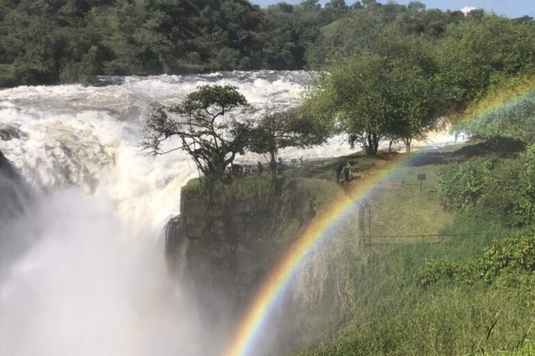 Complete Uganda Safari: Mburo to Murchison Falls
