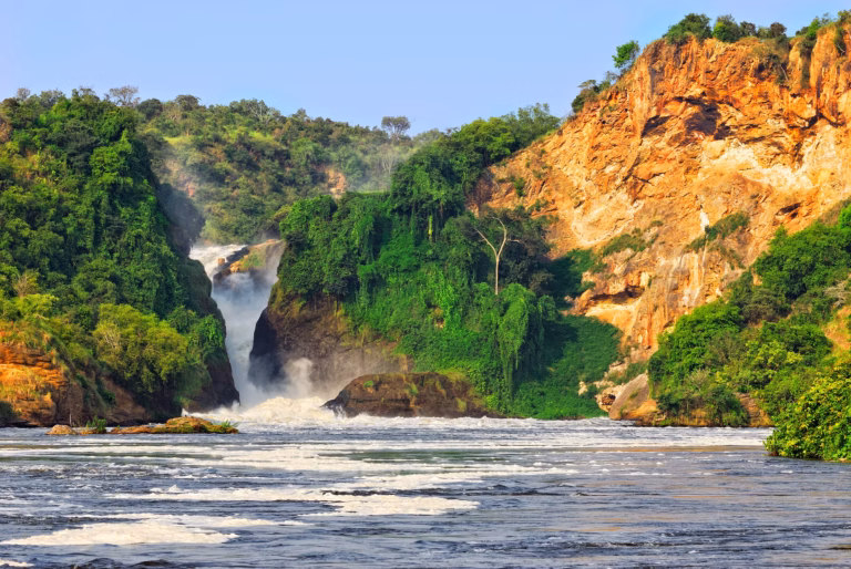 Complete Uganda Safari: Mburo to Murchison Falls