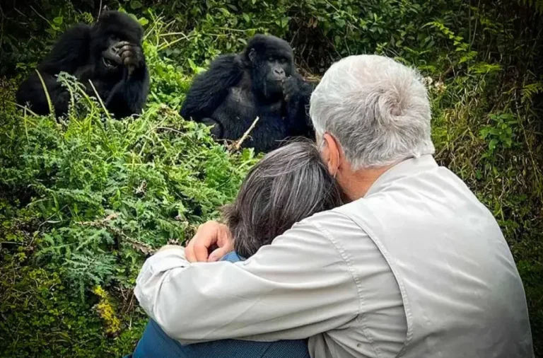 Kilimanjaro & Uganda Gorilla Adventure