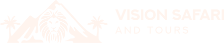Vision Safaris & Tours
