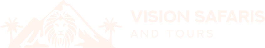 Vision Safaris & Tours
