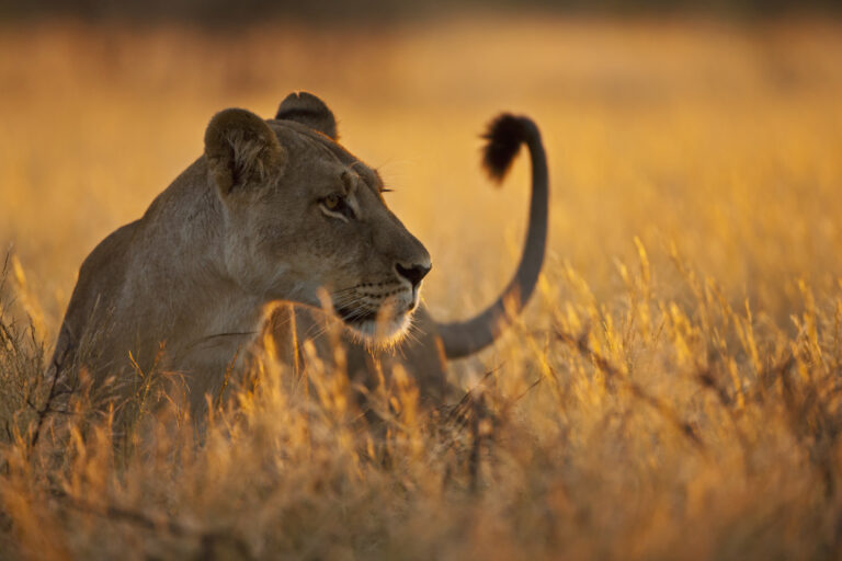 Serengeti National Park