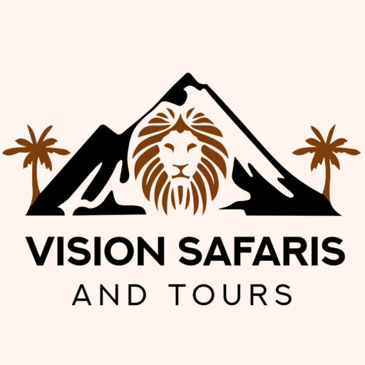 Vision Safari & Tours