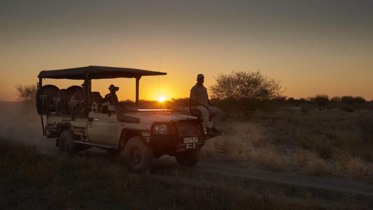 How Much Does an East Africa Safari Cost? A Realistic Budget Guide