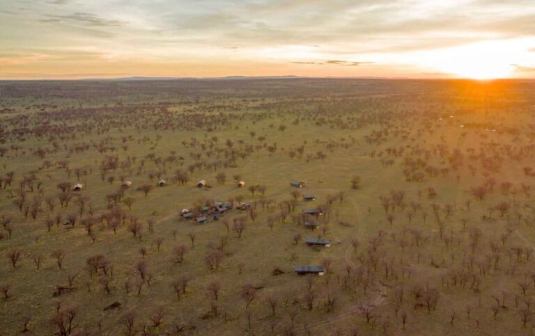 Luxury Northern Tanzania Safari