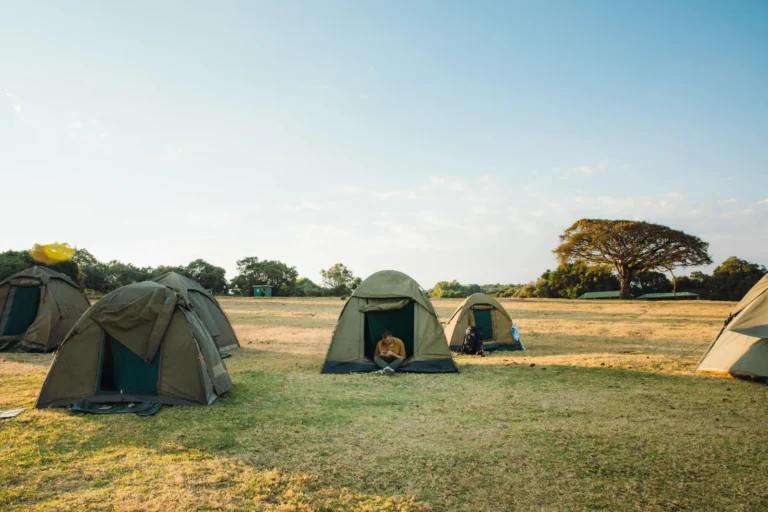 Budget Camping Safari Tanzania