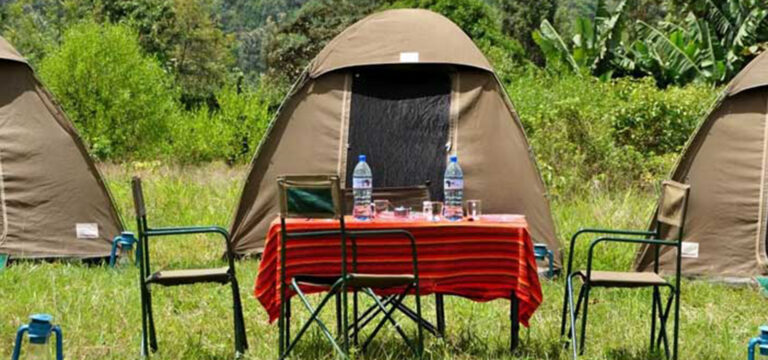 Budget Camping Safari Tanzania