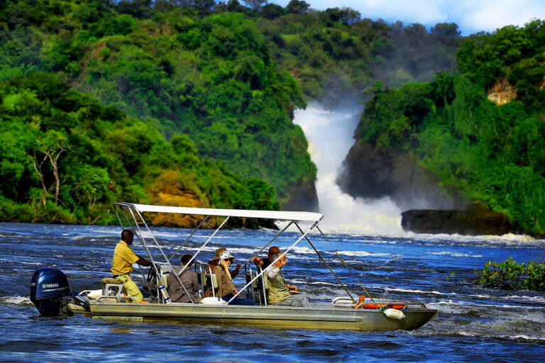 Complete Uganda Safari: Mburo to Murchison Falls