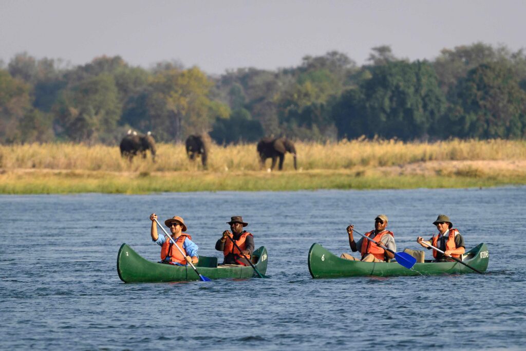 Canoeing Safari