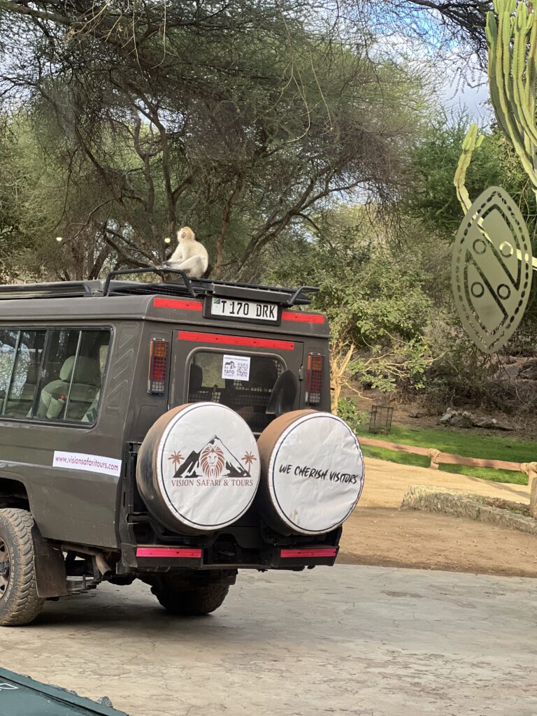Tanzania Travel Tips: Everything You Need to Know Before Your Safari