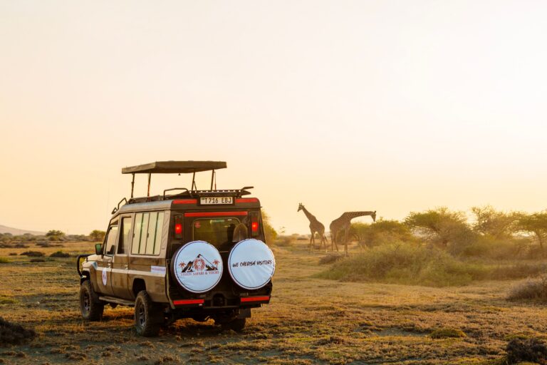 10 Things You Need to Know Before Going on a Safari in Tanzania